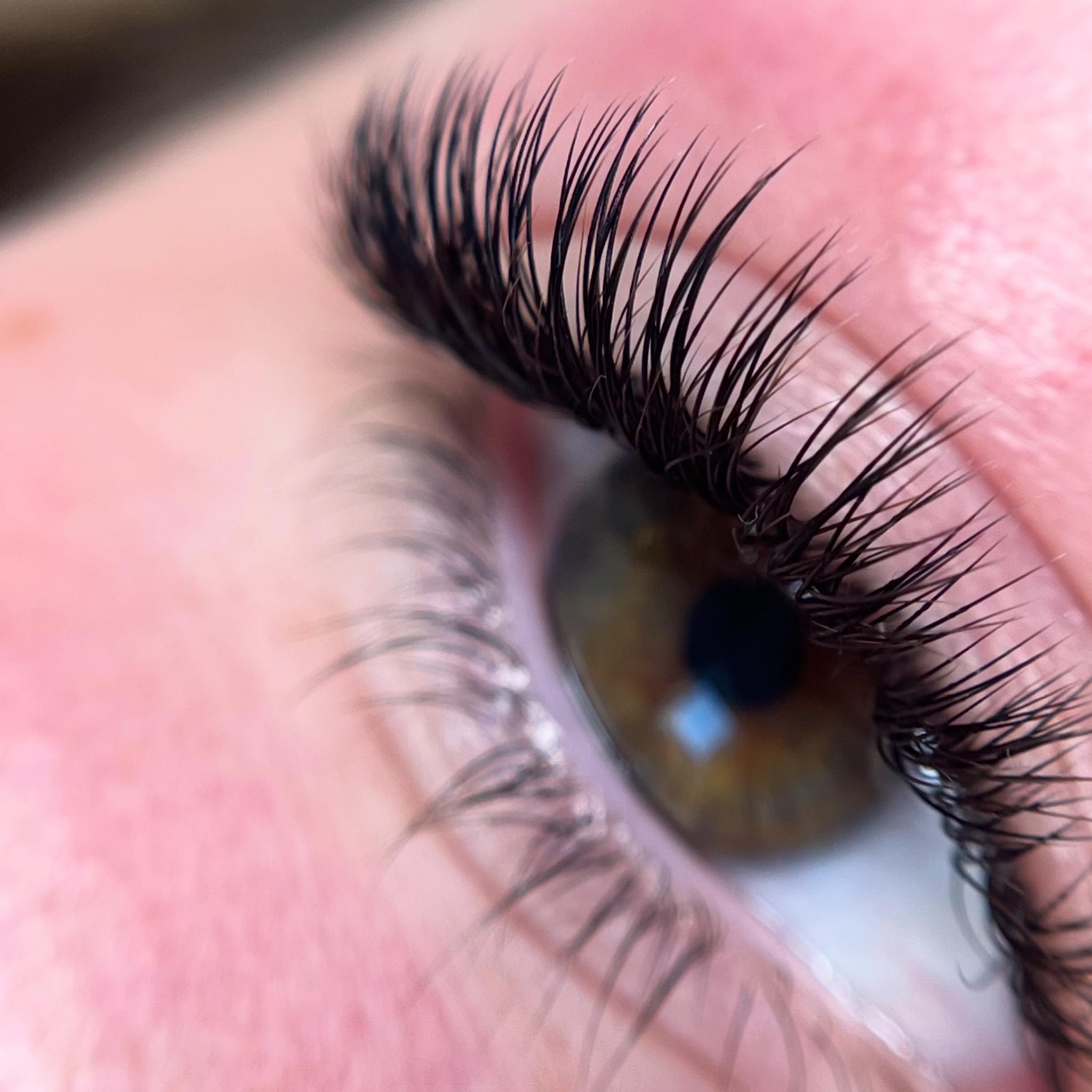 Volume lash set on a brown eye, close up
