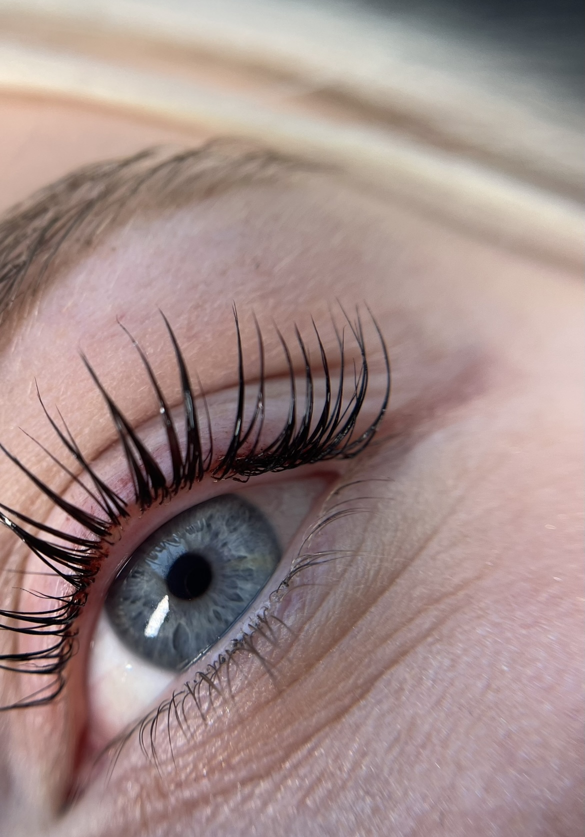 Lifted lashes on a blue eye